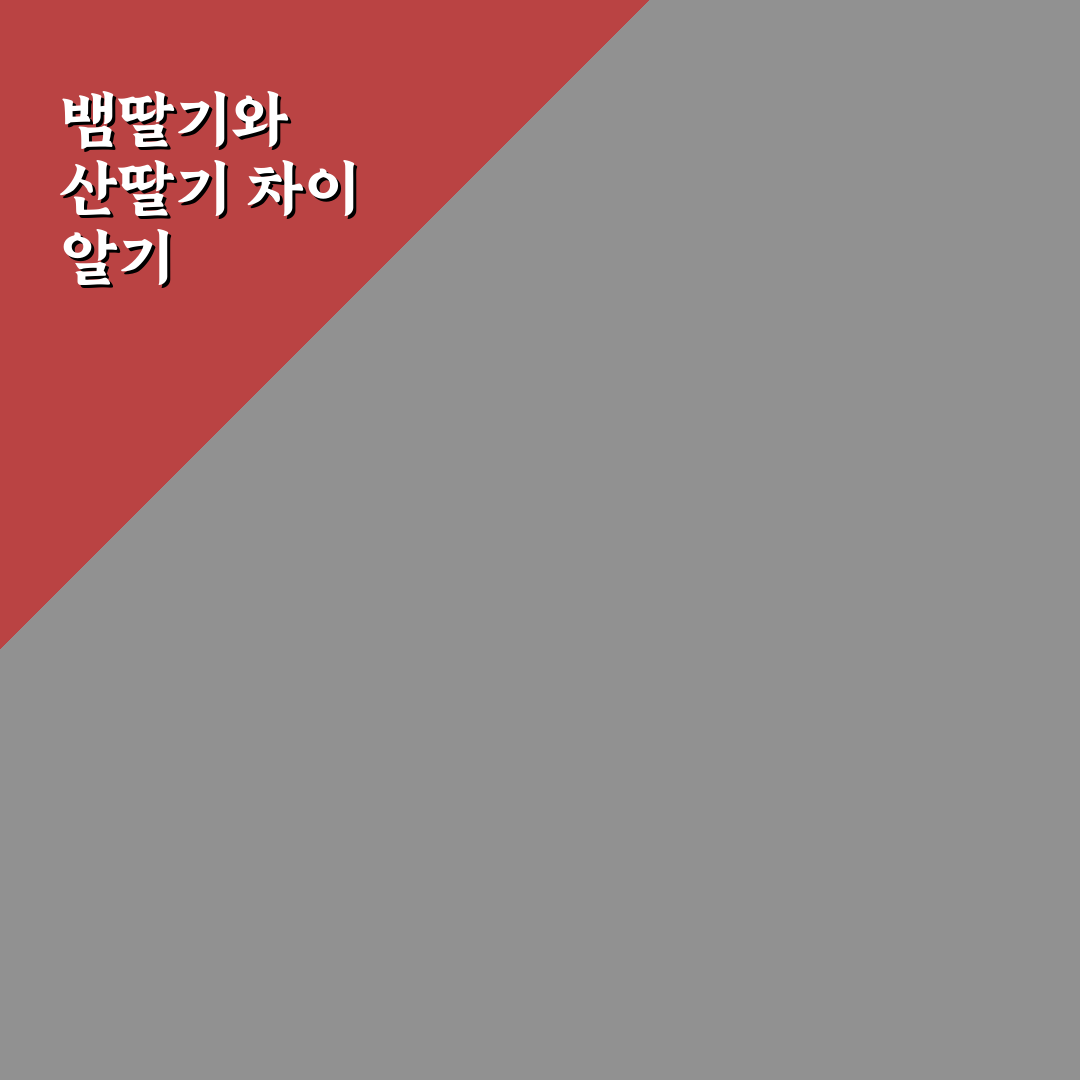 뱀딸기 산딸기 차이와 특징 쉽게 알려드려요