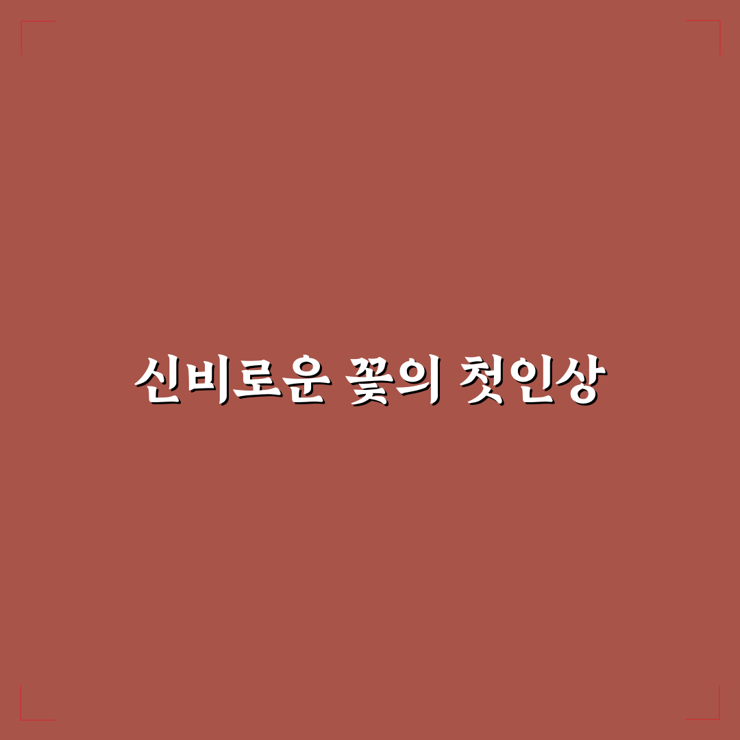 검은장미 꽃말 직접 알아보니 뜻이 뜻밖이었어요