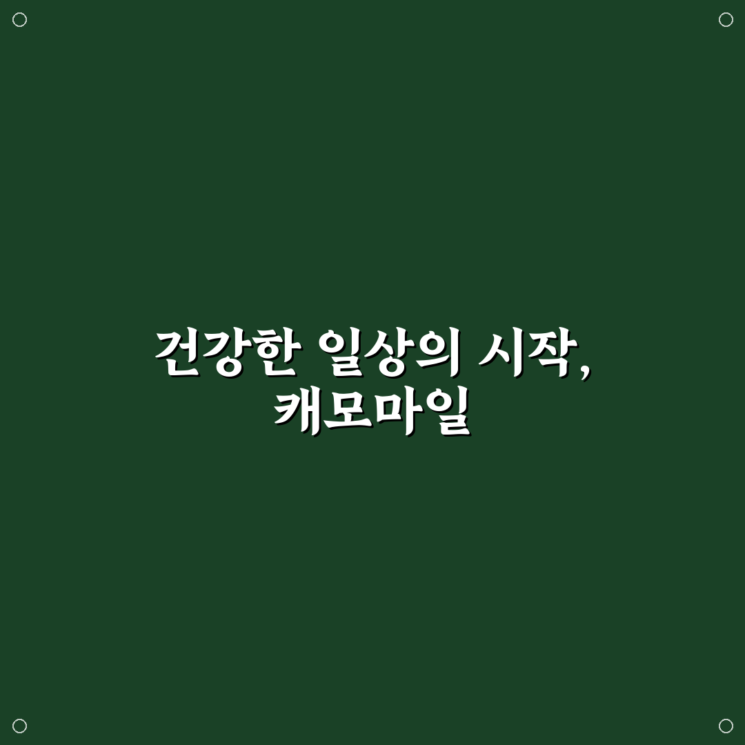 캐모마일 물대신 활용법과 건강 꿀팁 알려드려요