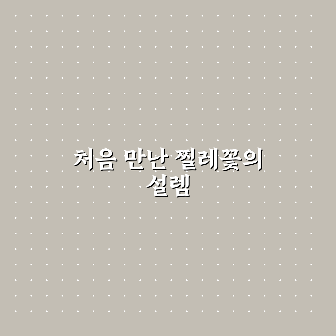 찔레꽃 피는 시기 직접 알아보니 변화가 느껴졌어요