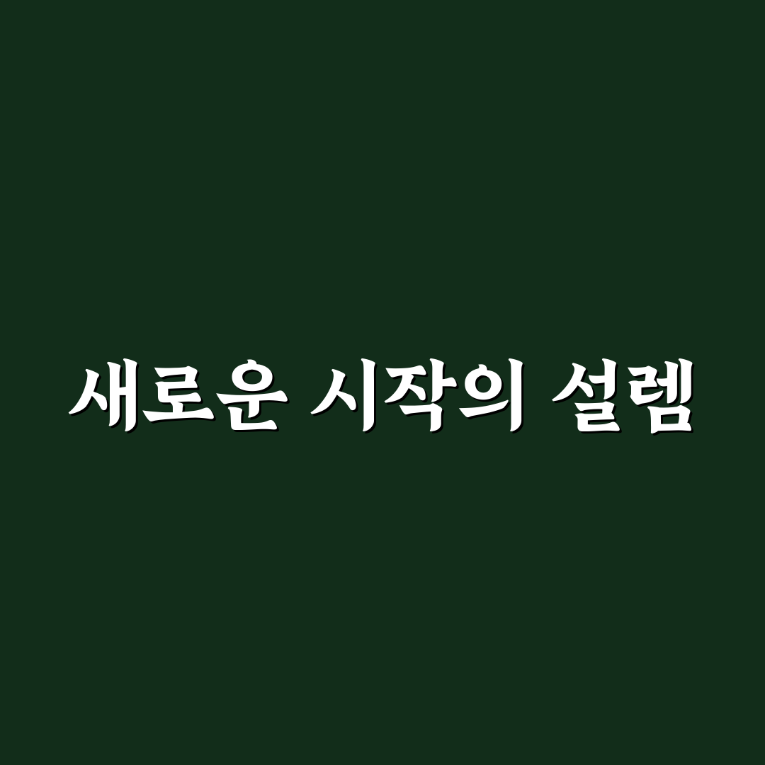 말차하임 방문 후기, 직접 가보니 분위기와 맛은 어땠을까