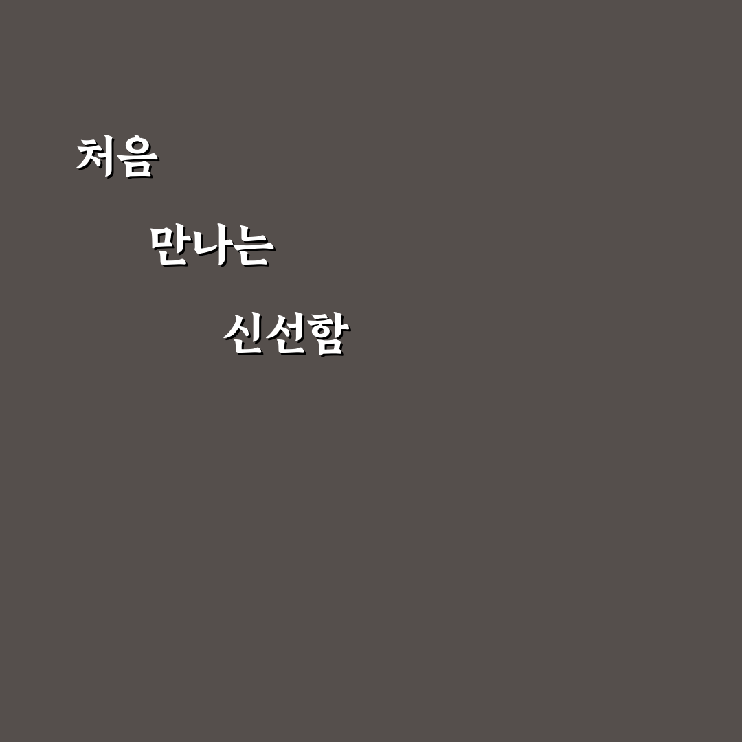 조니스그로서리 공구 사용 후기, 직접 써보니 장단점