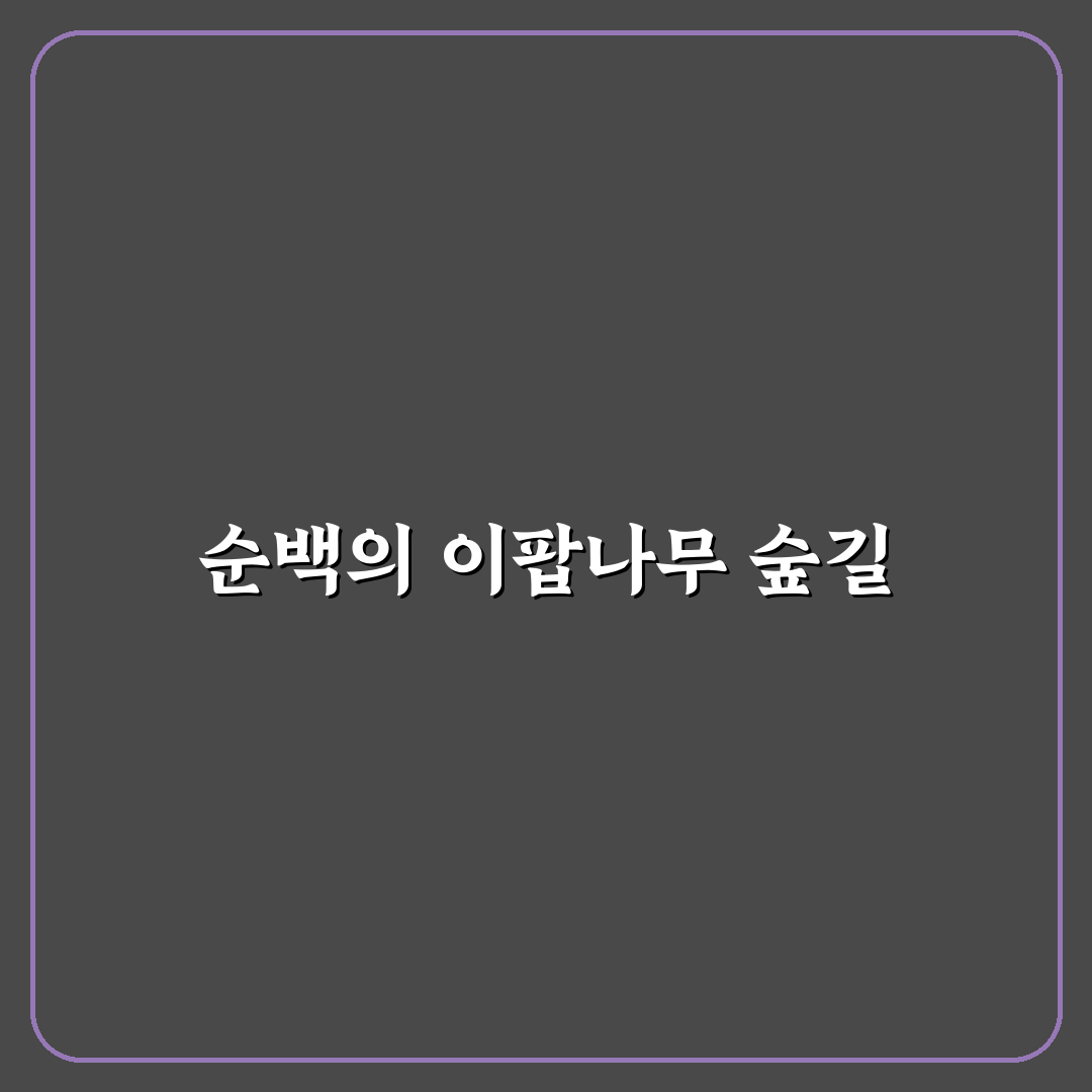 이팝나무 군락지 방문 후기, 한적한 산책길 느껴보니