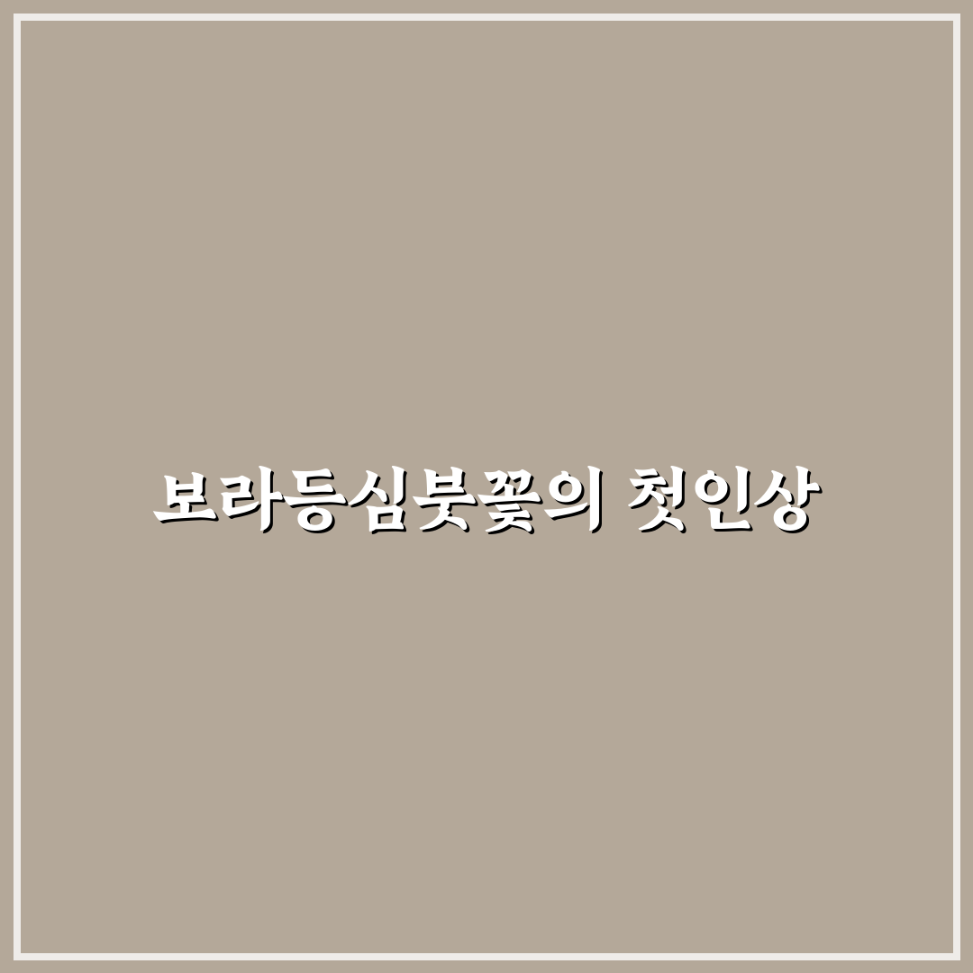 보라등심붓꽃 체험기, 직접 가보니 생생한 느낌