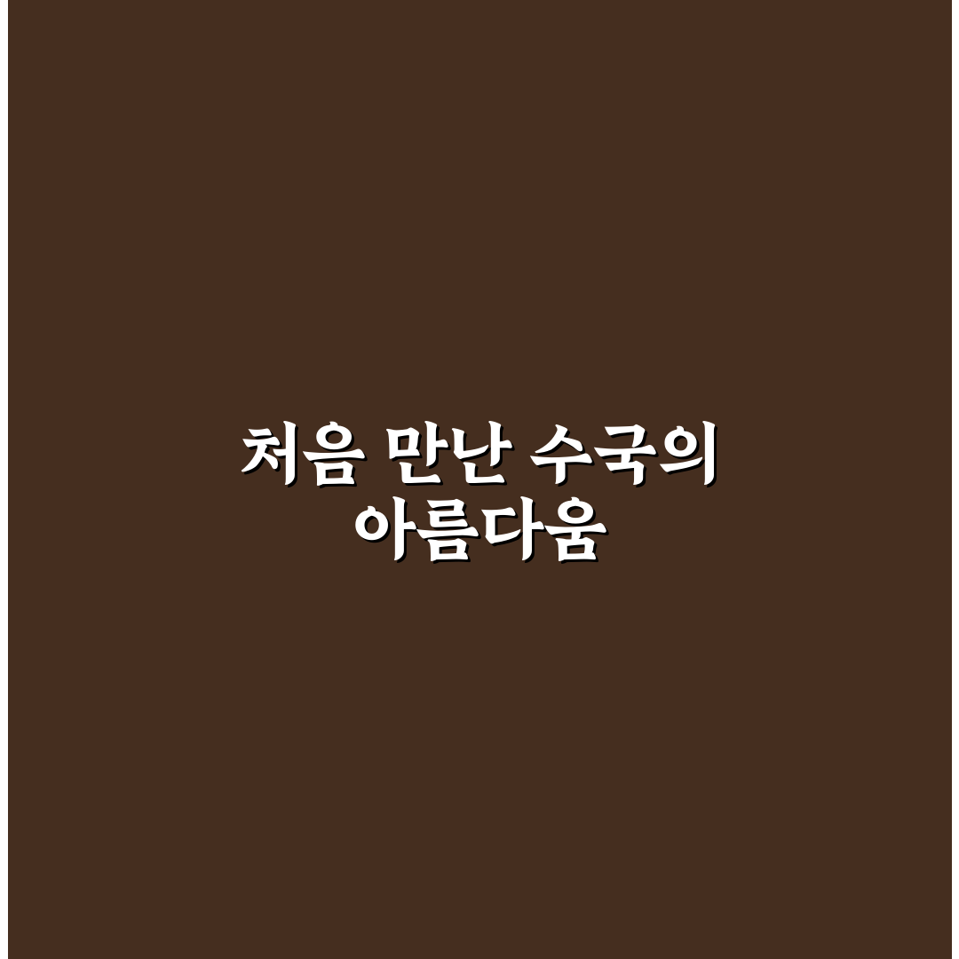 나무수국 종류 직접 알아보니 키우기 쉬운 품종들