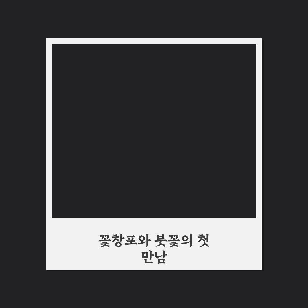 꽃창포 붓꽃 차이 직접 알아보니 헷갈리는 부분 정리