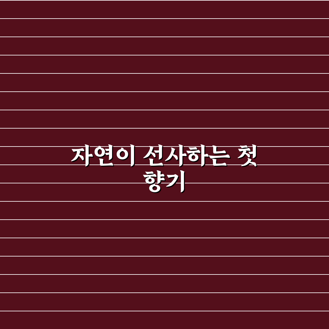 등나무꽃 아카시아 차이, 직접 알아보니 다른 점은
