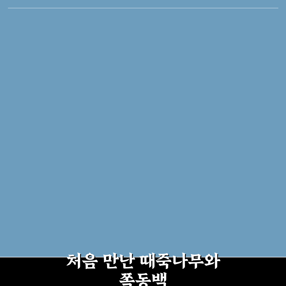 때죽나무 쪽동백 차이, 직접 알아보니 달랐던 점