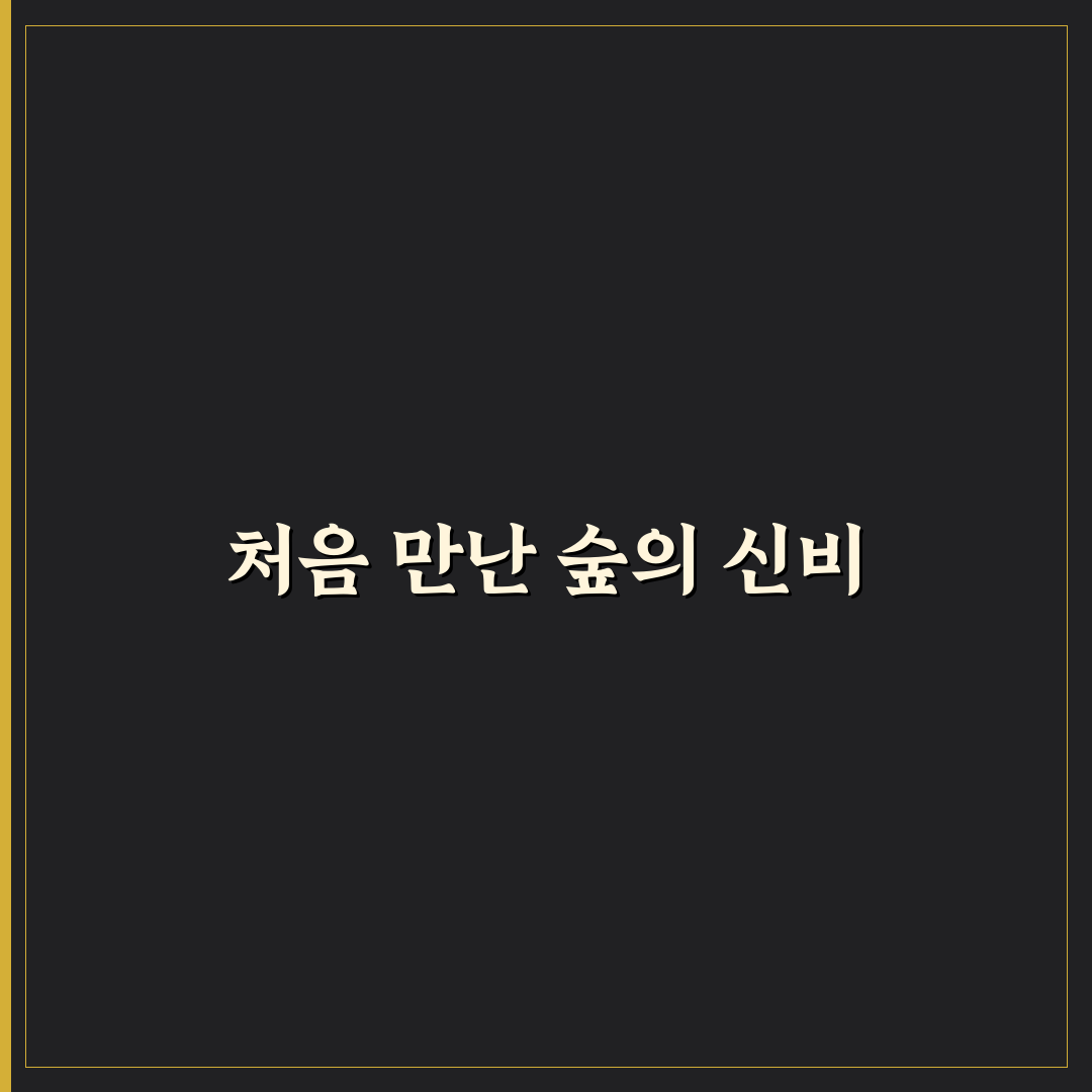세종 다온숲 방문 후기, 자연 속에서 쉬어보니