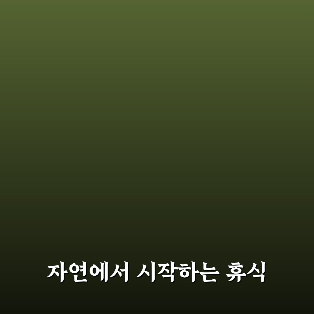 남양주 팔당로그 방문 후기, 조용한 산책 코스 체험기