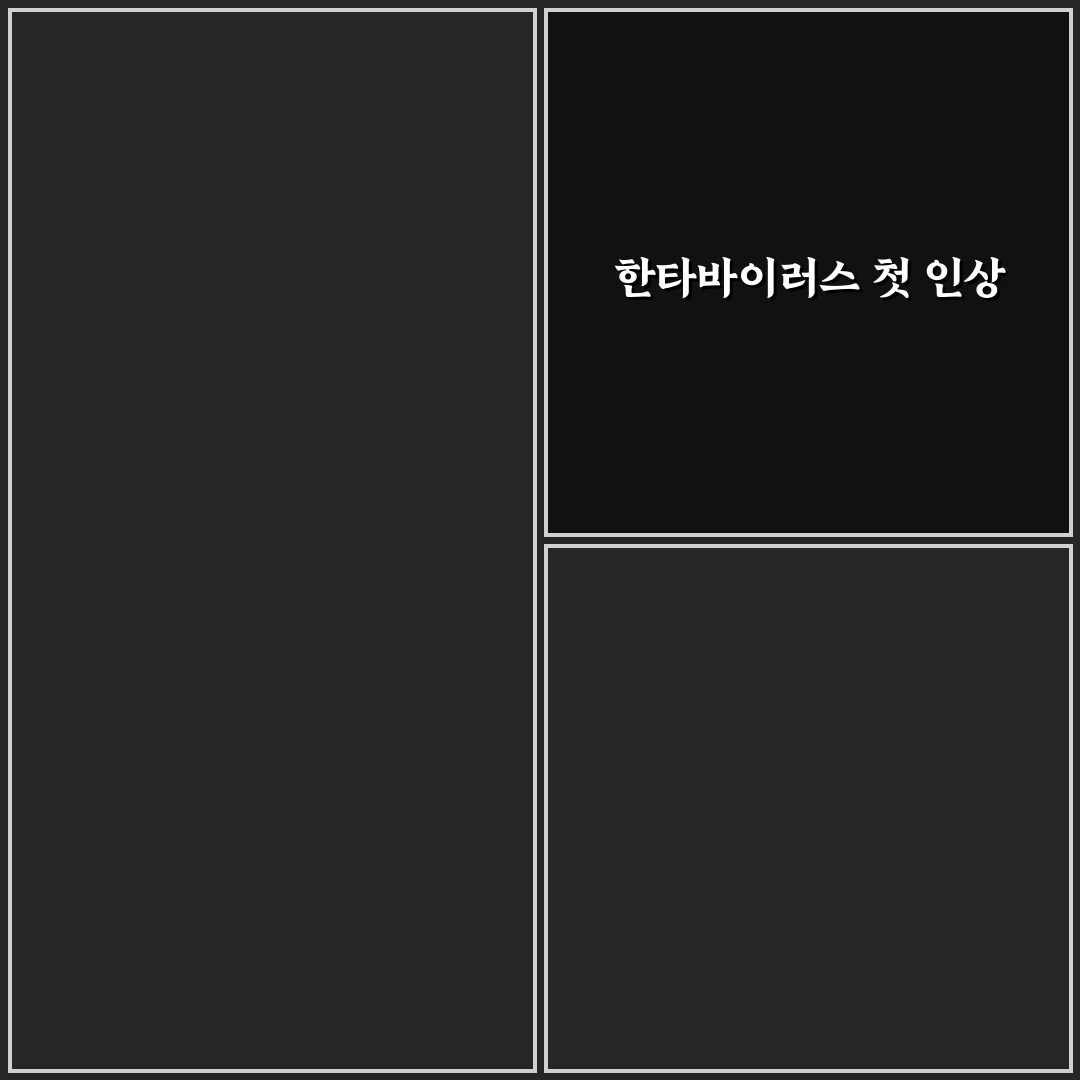 한타바이러스 한국 직접 알아보니 증상과 대처법