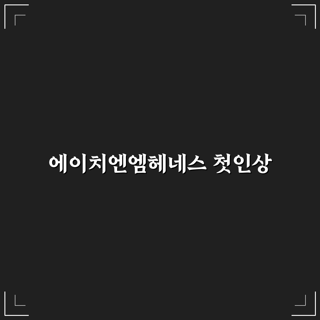 에이치엔엠헤네스 사용 후기, 직접 써보니 느낀 점