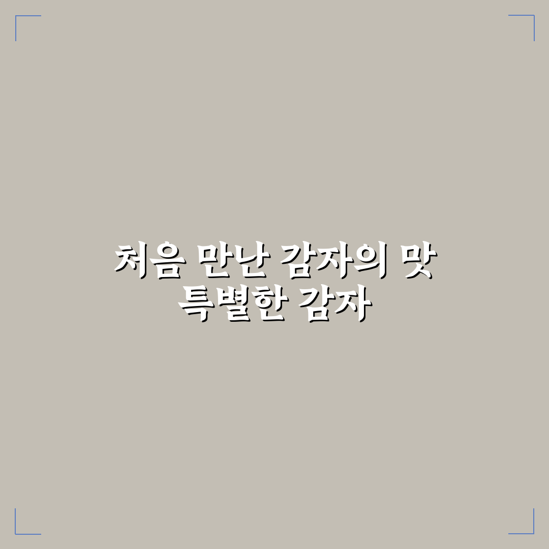 potato crisp 사용 후기, 과자 맛과 식감 솔직 리뷰