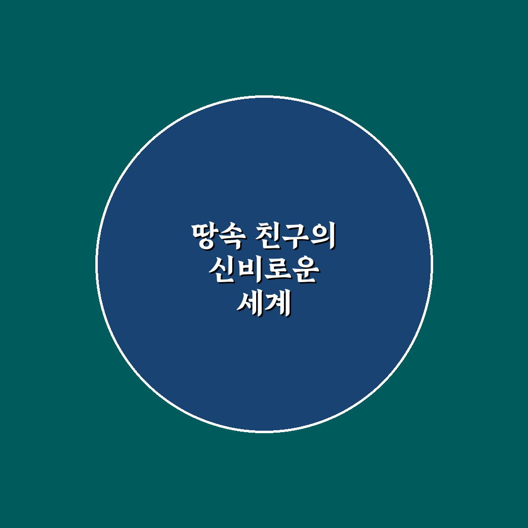 두더지 포켓몬 직접 잡아보니 재미와 아쉬움이 공존했다