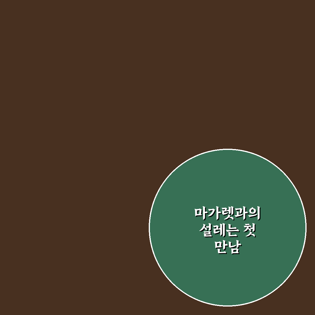 마가렛 꽃 키우는 법, 직접 해보니 생긴 변화들