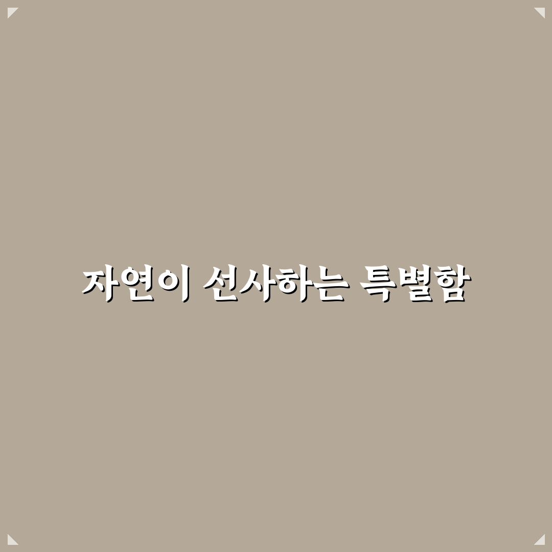 퇴촌 시골집 방문 후기, 조용한 휴식 경험해보니
