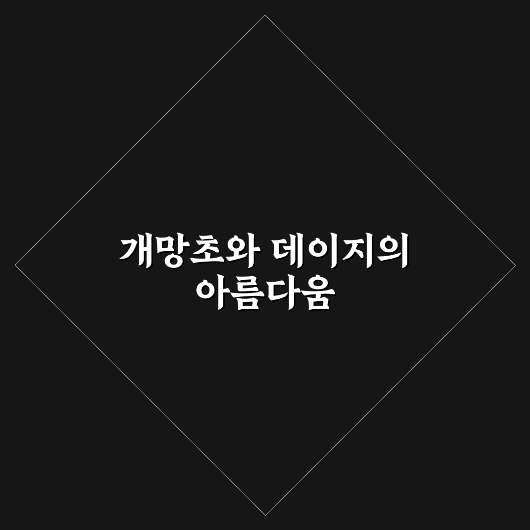 개망초 데이지 차이 직접 알아보니 확실한 구분법