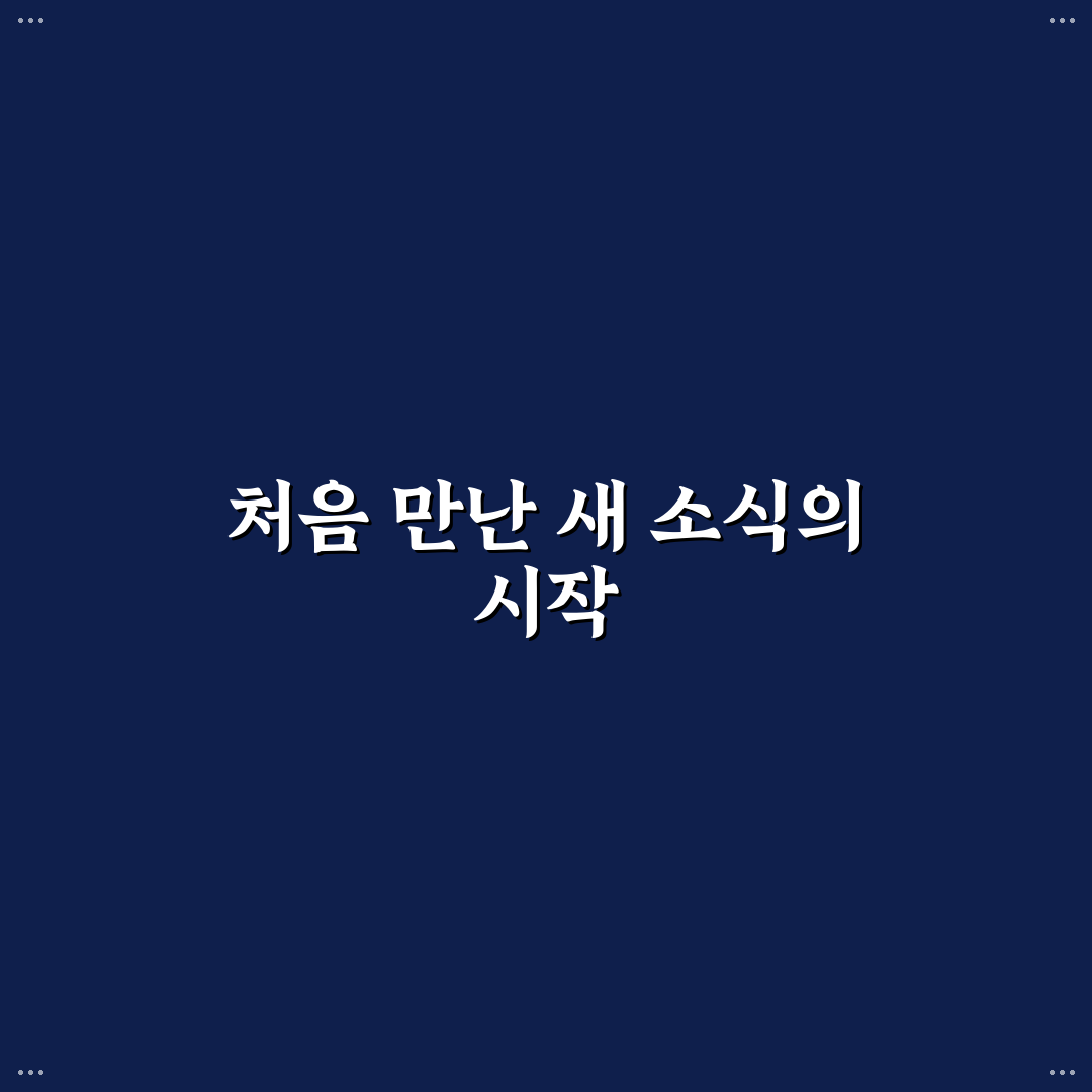 수도권일보 이용 후기, 실제 써보니 알게 된 점