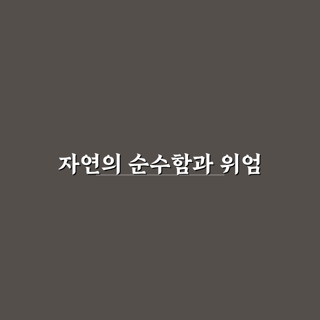 마가렛 꽃과 데이지 비교 후기, 직접 알아보니 달랐던 점
