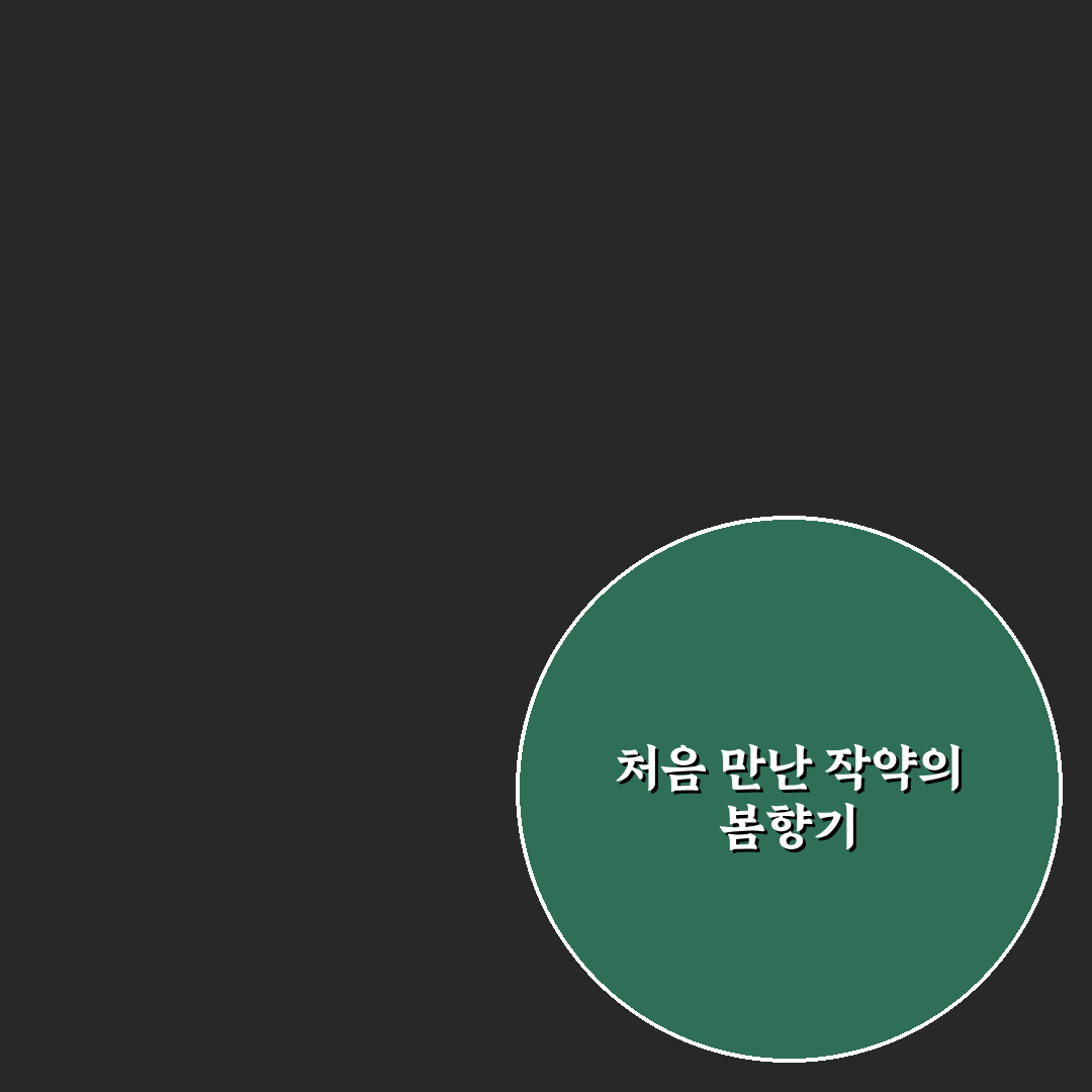 작약 심는법 후기, 직접 해보니 알게 된 팁들