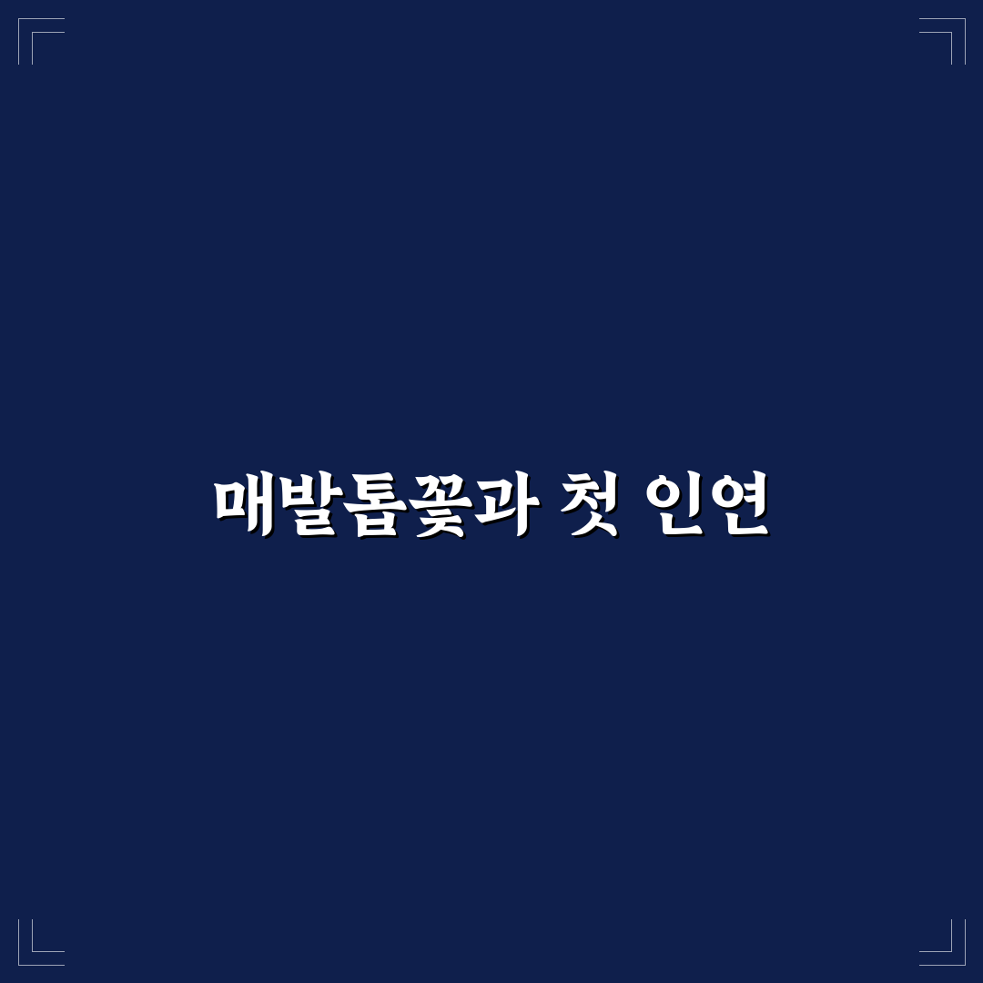 매발톱꽃 키우기 후기, 직접 해보니 생각보다 손이 많이 가네요