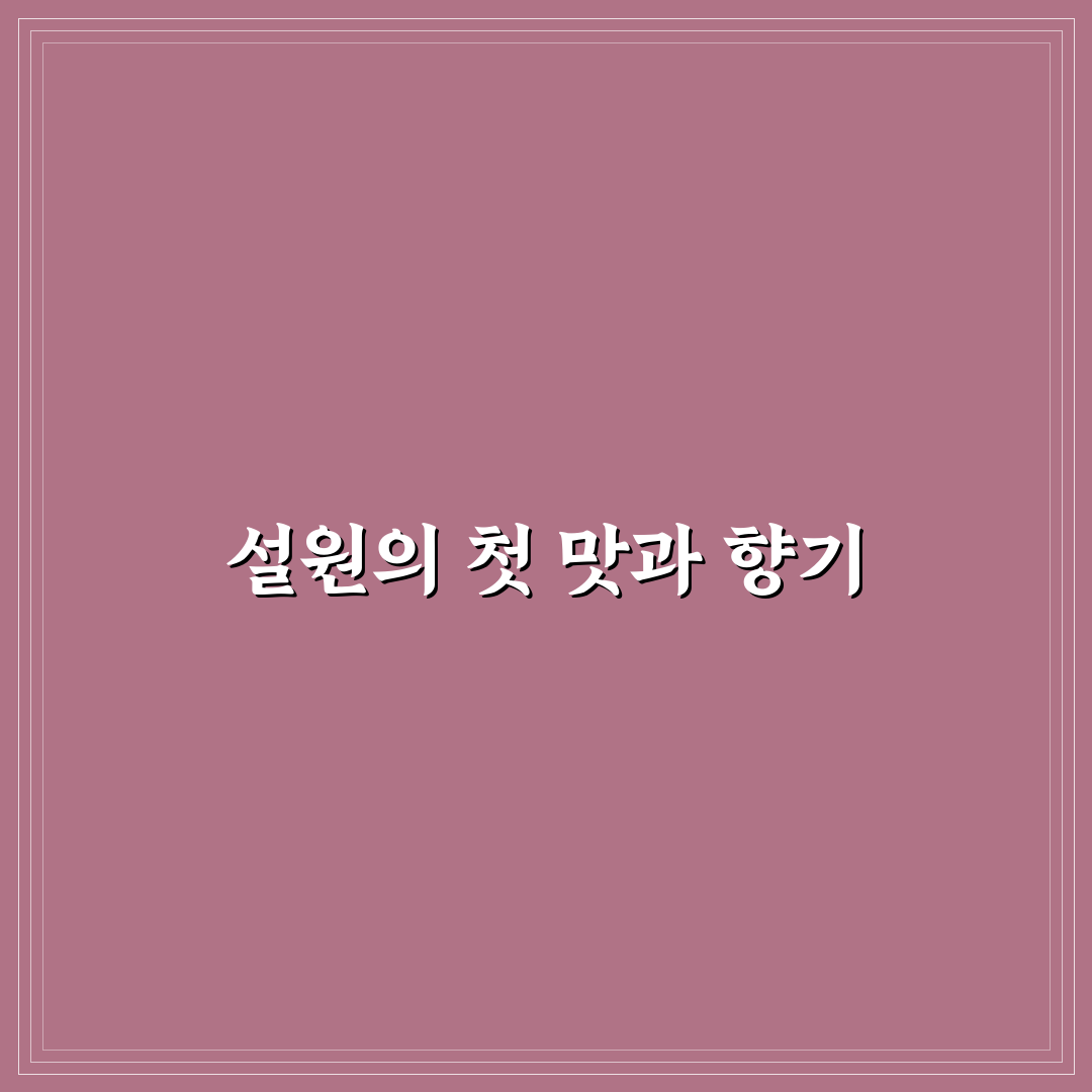 설원다식 방문 후기, 직접 가보니 맛과 분위기 모두 만족스러웠어요