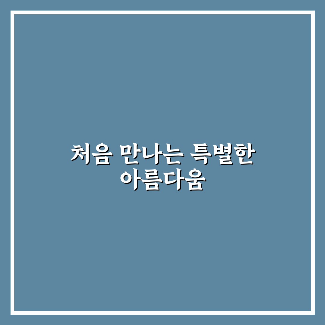 오디세이 화장품 사용 후기, 직접 써보니 어땠는지