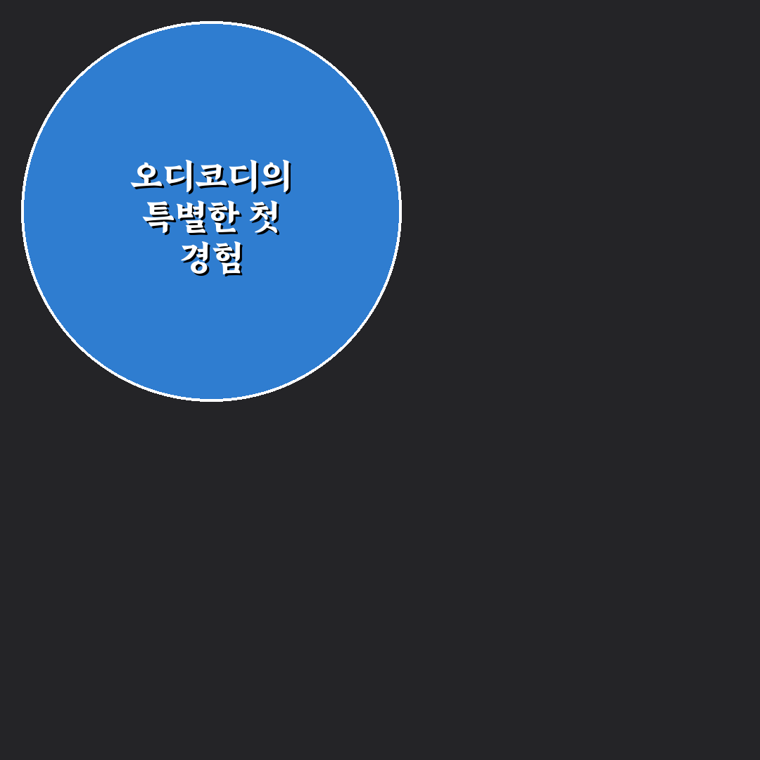오디코디 사용 후기, 직접 써보니 편리한 점과 아쉬운 점
