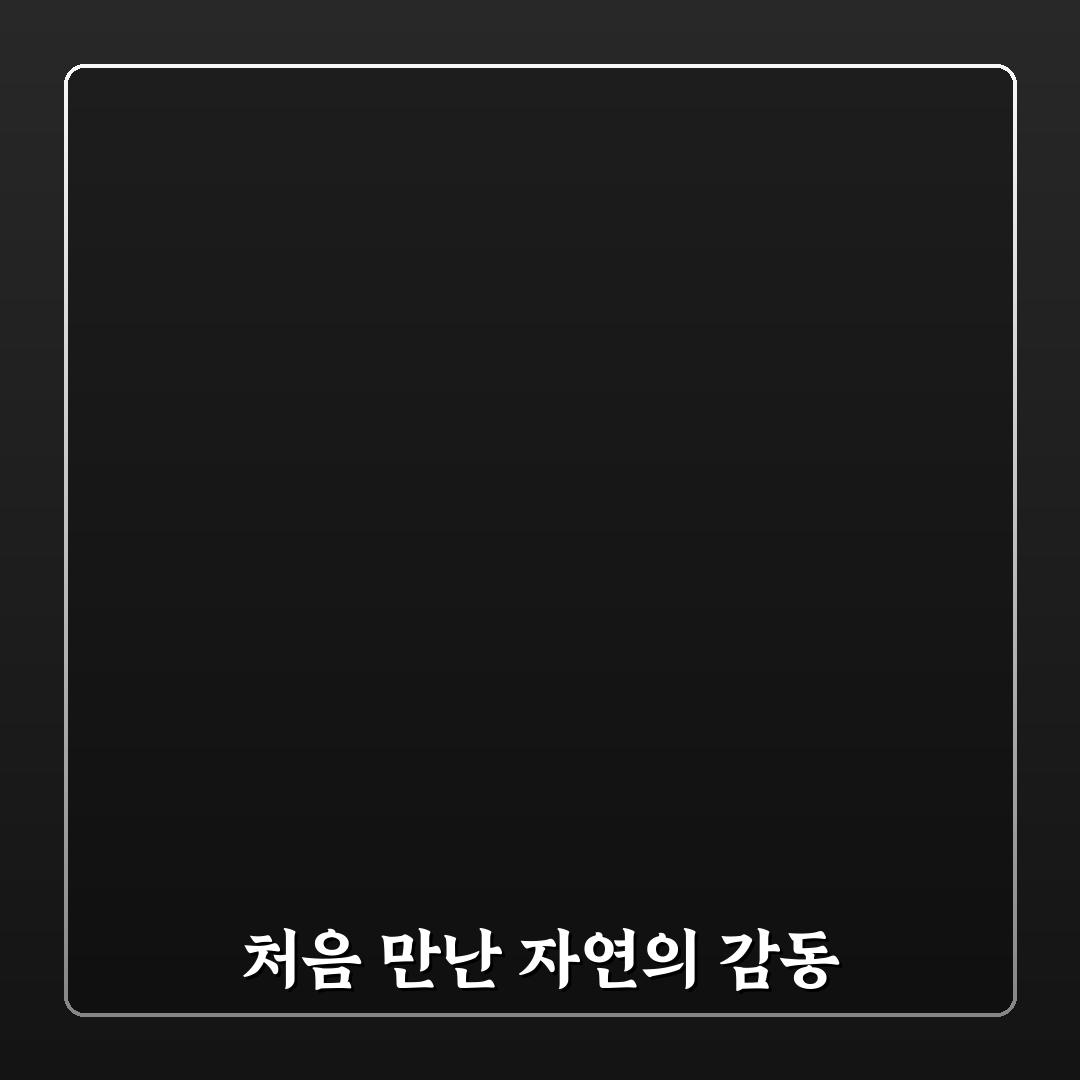 푸꾸옥 침향 가격 직접 알아보니 구매 전 체크할 점