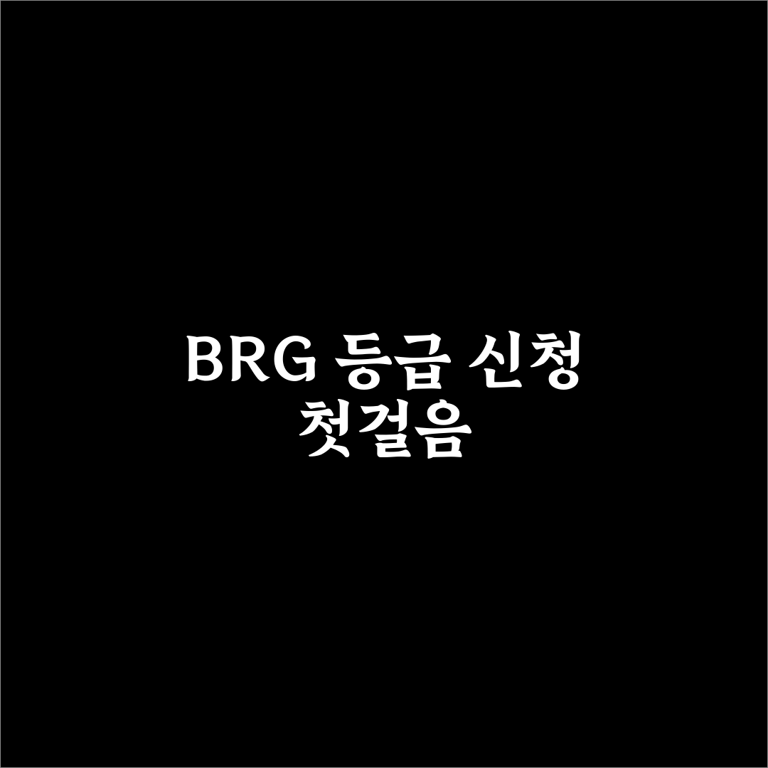 brg 등급 신청 후기, 직접 알아보니 준비할 점