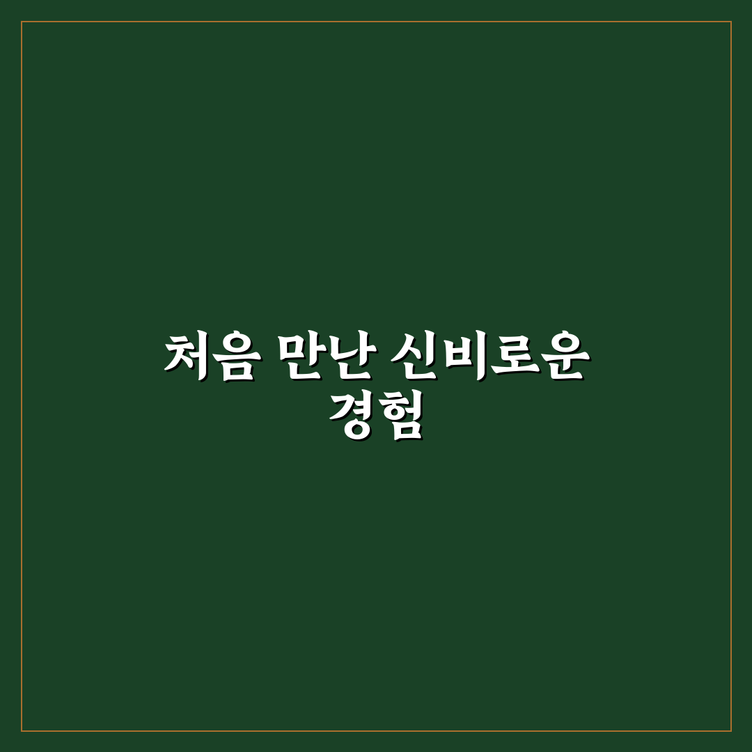 은평구 수국사 방문 후기, 조용한 산사에서 느낀 점들