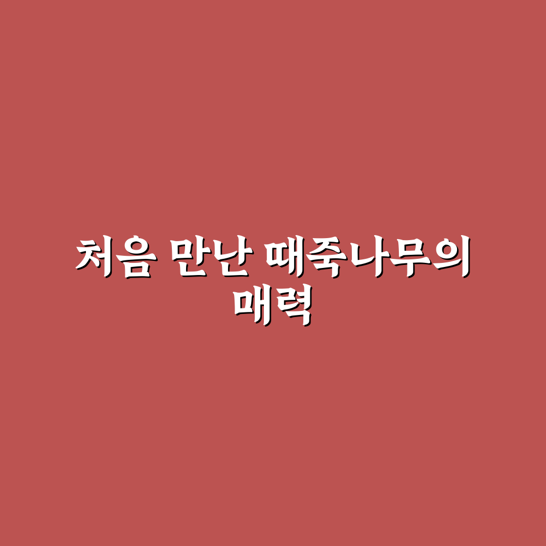 때죽나무 묘목 사용 후기, 직접 심어보니 변화가 궁금해졌다