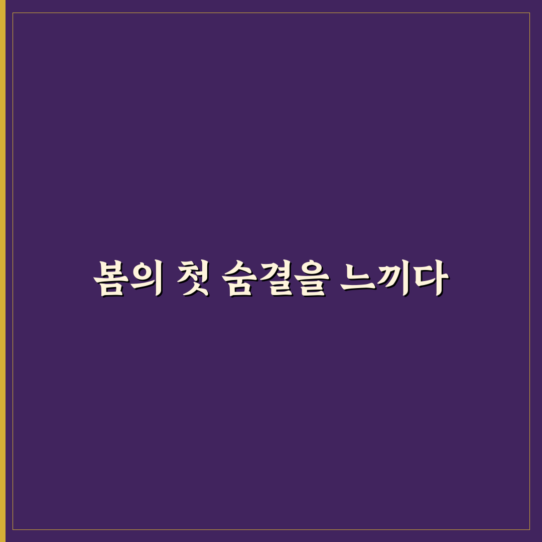 감자꽃 피는 시기 직접 알아보니 변화가 신기했어요