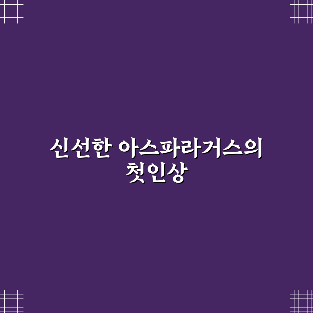 아스파라거스 메이리 키우기, 직접 해보니 알게 된 점들