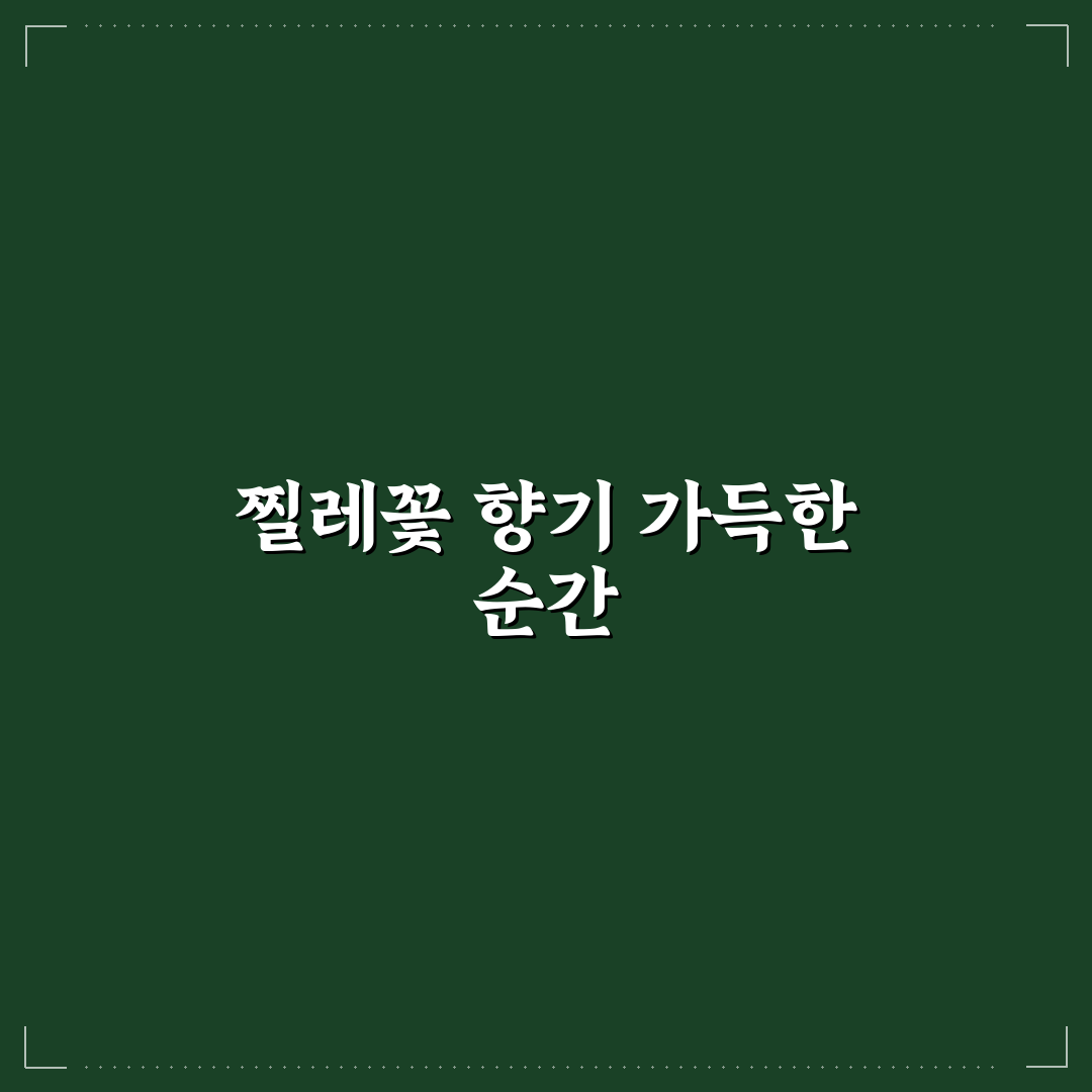 찔레꽃 필 무렵 드라마 후기, 몰입도와 아쉬움 솔직히 말해요