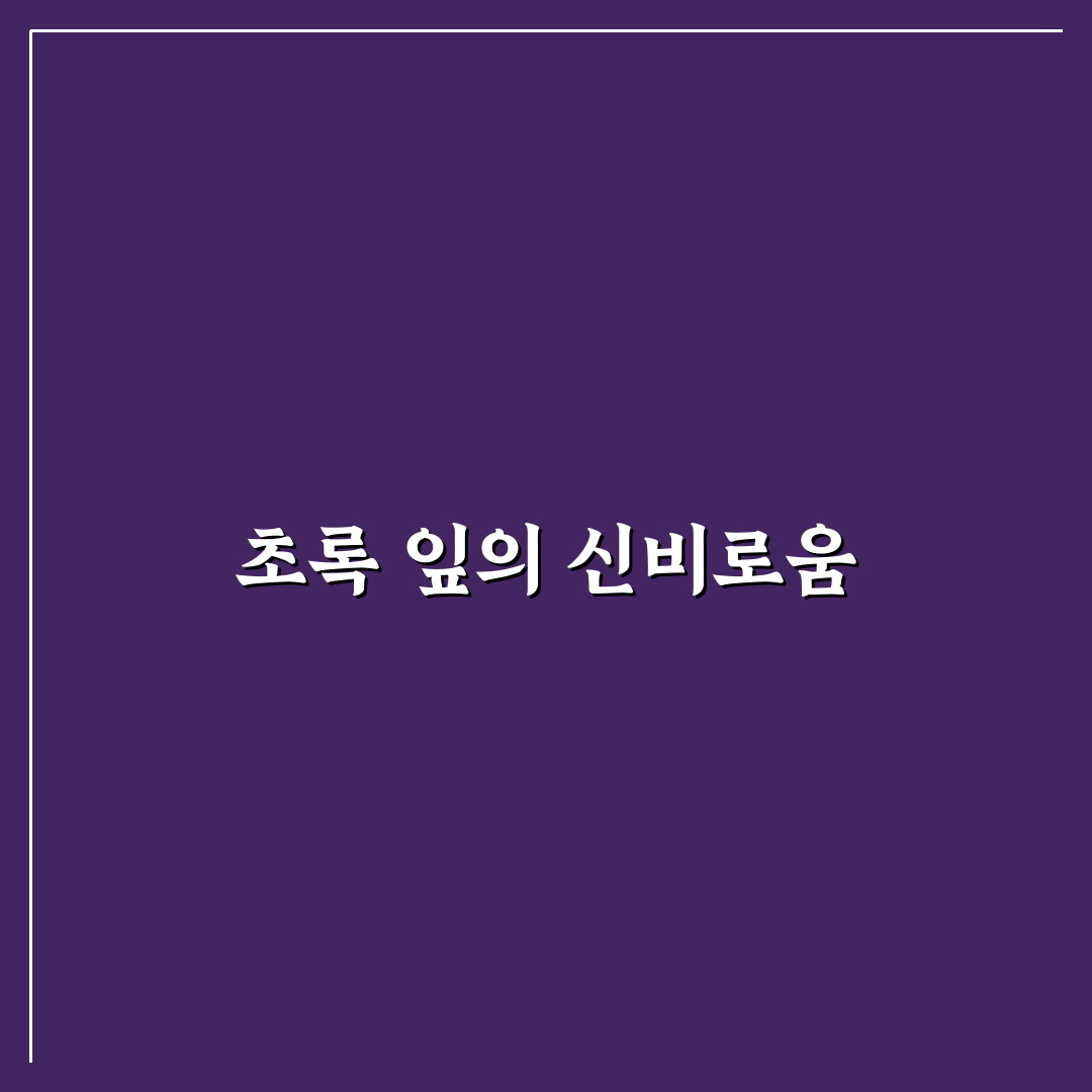 루꼴라 파종시기 직접 알아보니 시간대별 차이점