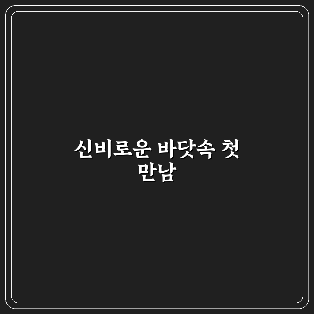터미타임 문어 사용 후기, 직접 써보니 알게 된 점