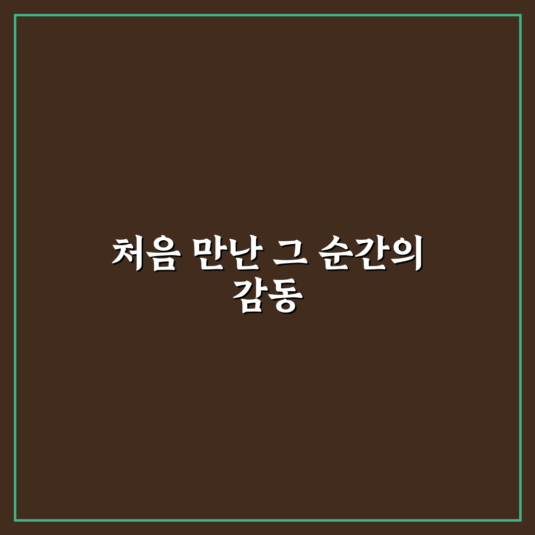 박왕열 모티브 직접 알아보니 느껴지는 의미와 가치