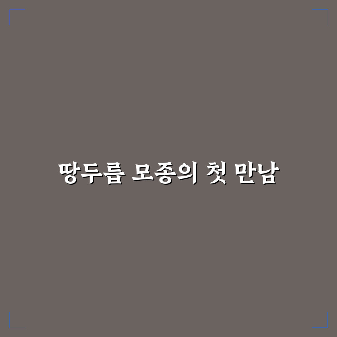 땅두릅 모종 가격 직접 알아보니 합리적인 편이었어요