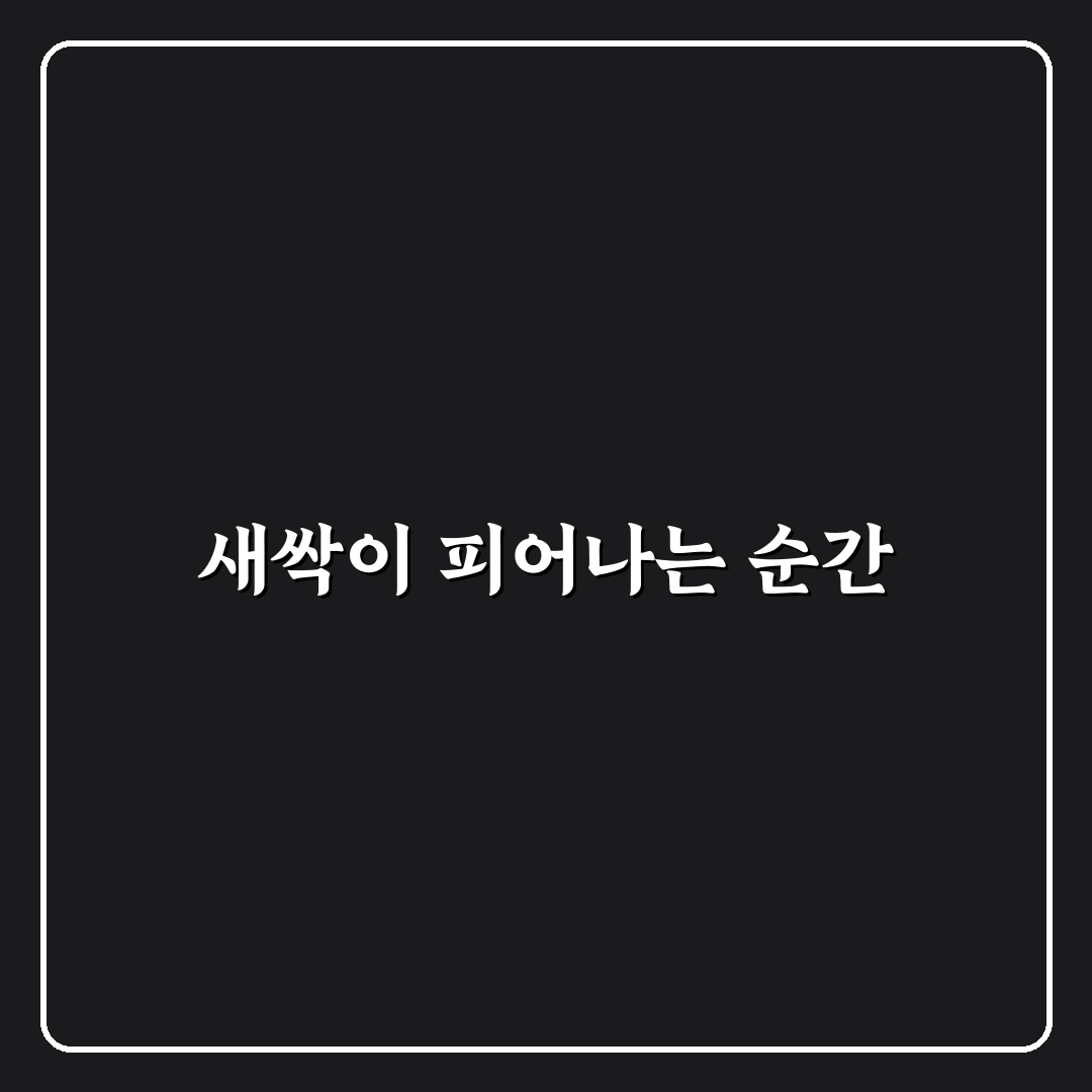 마가목 꽃 피는 시기 직접 알아보니 계절 변화가 느껴졌어요