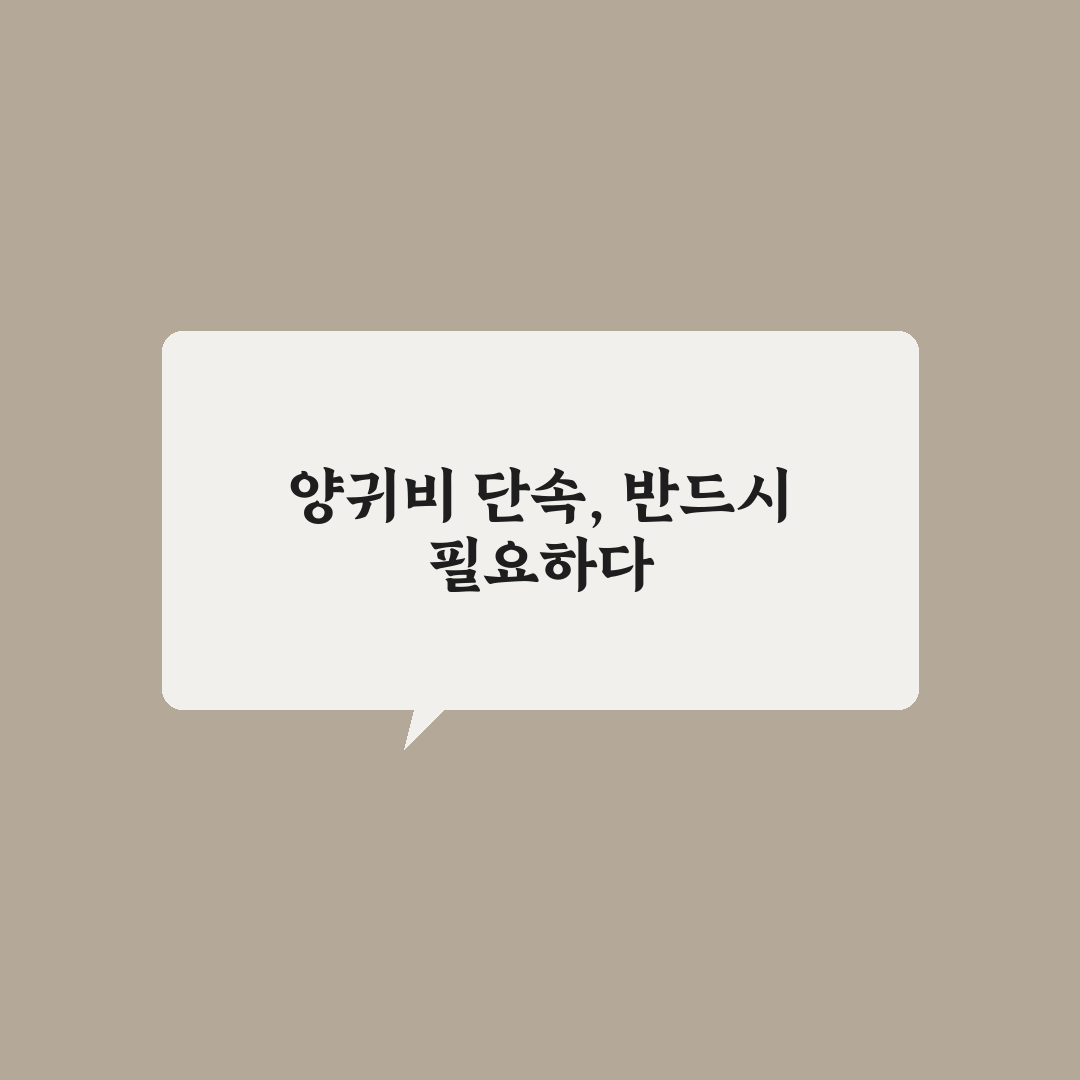 양귀비 단속 기준 직접 알아보니 헷갈리는 부분들