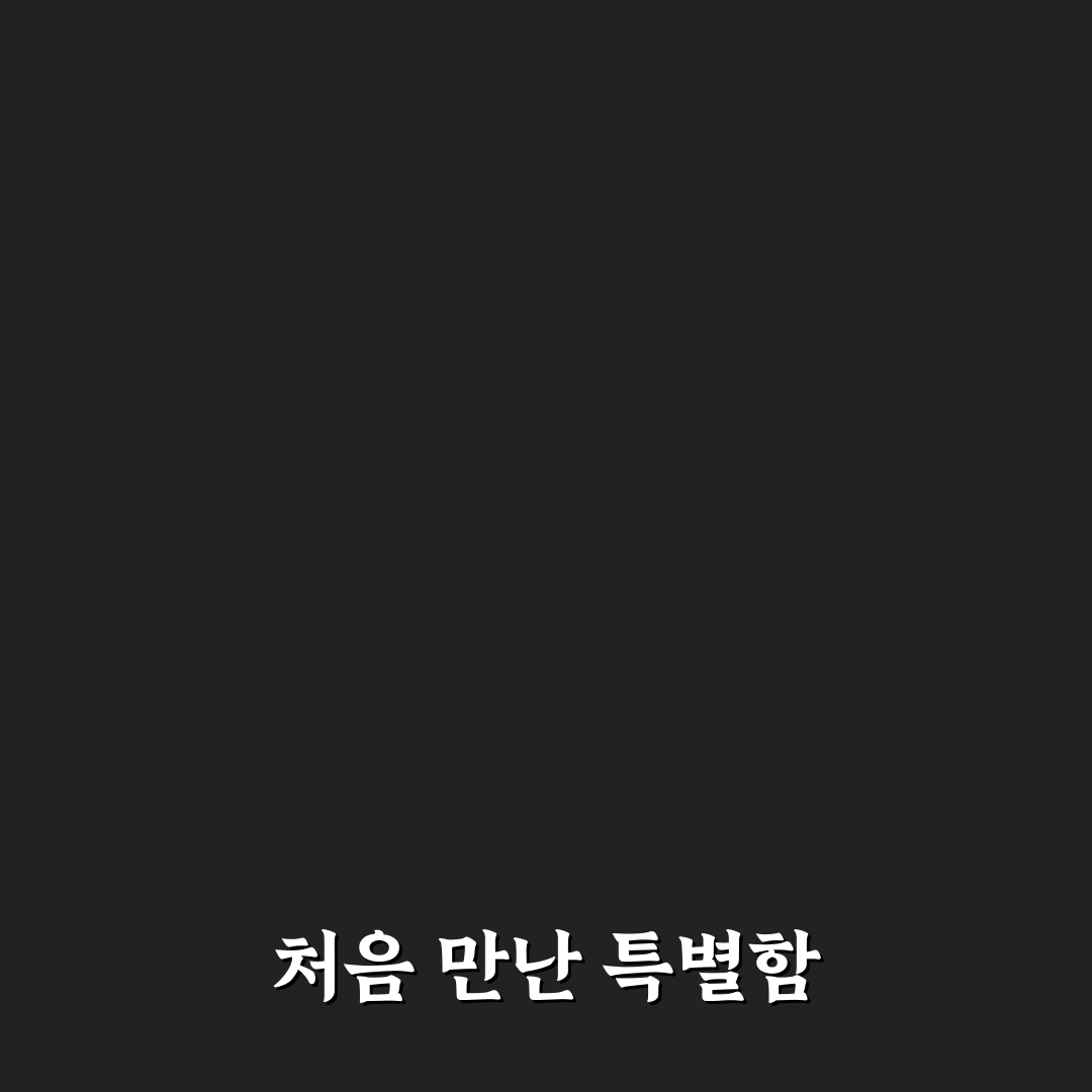 데이지플라워 사용 후기, 직접 써보니 어땠는지