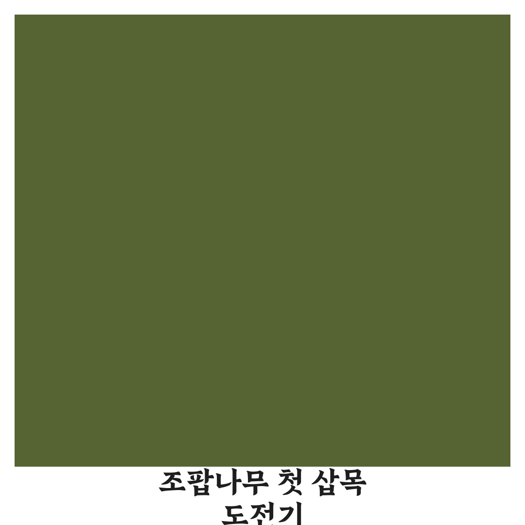 조팝나무 삽목시기 직접 알아보니 경험한 변화점