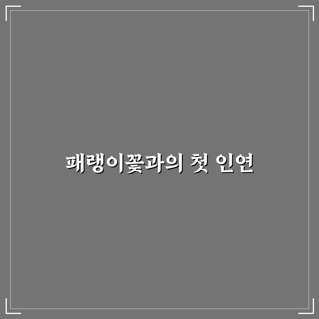 패랭이꽃 물주는법 직접 해보니 달라진 점