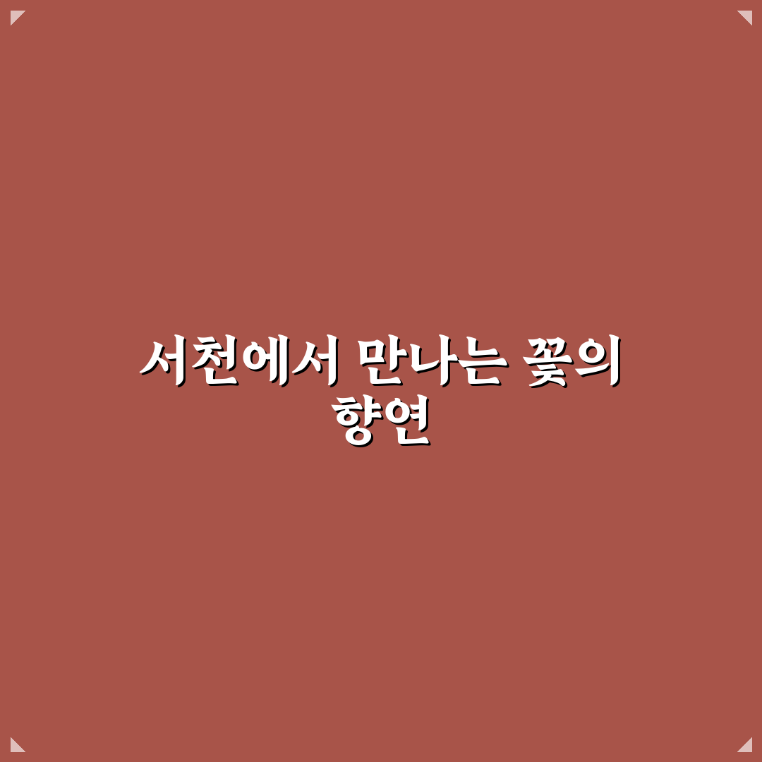 서천 맥문동 축제 방문 후기, 한적한 풍경 직접 가보니