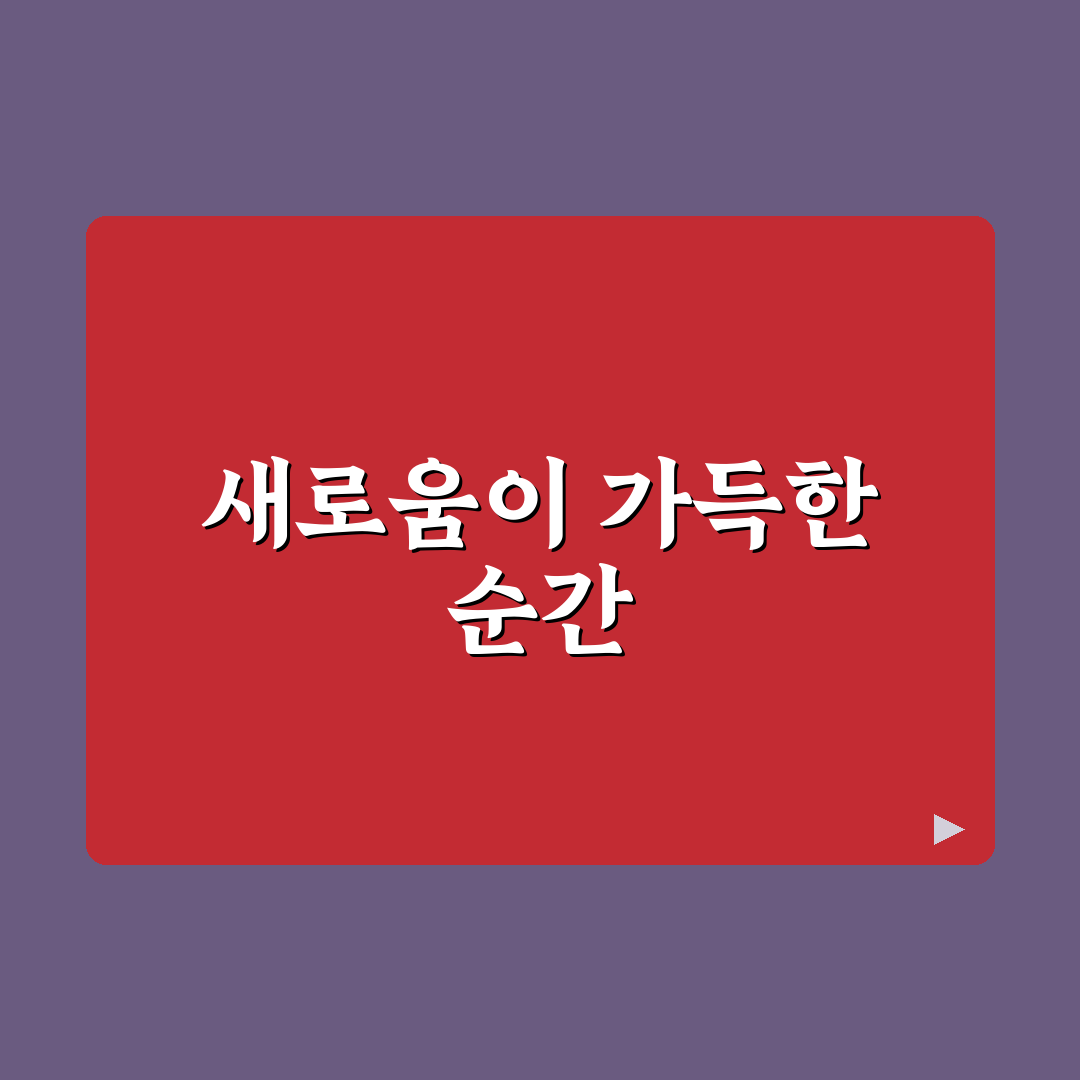 조침문 직접 써보니 느낀 장단점과 활용법