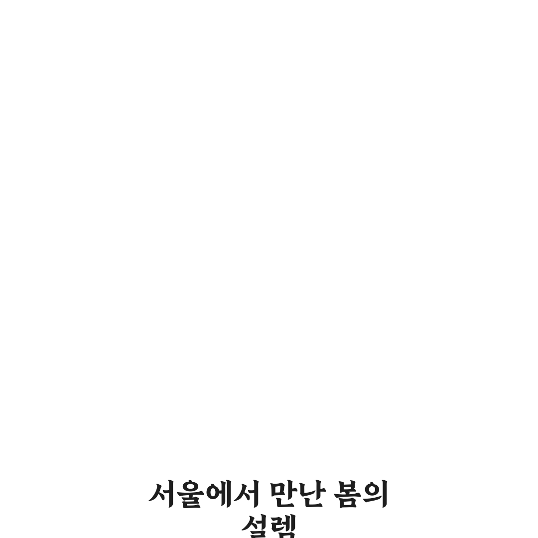 서울 등나무꽃 명소 방문 후기, 직접 가보니 풍경과 분위기