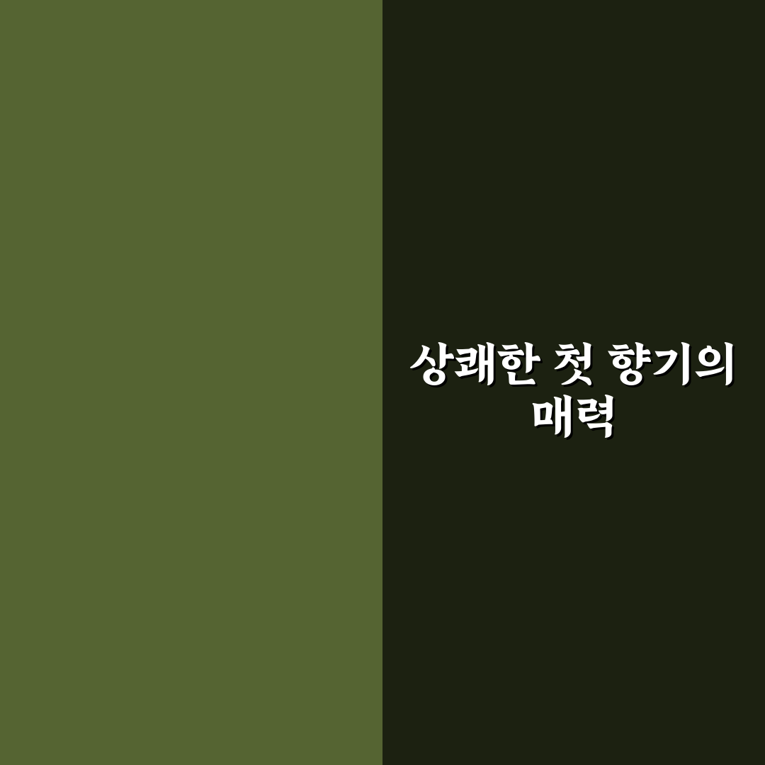 록시땅 버베나 샤워젤 사용기, 향과 텍스처 솔직 후기