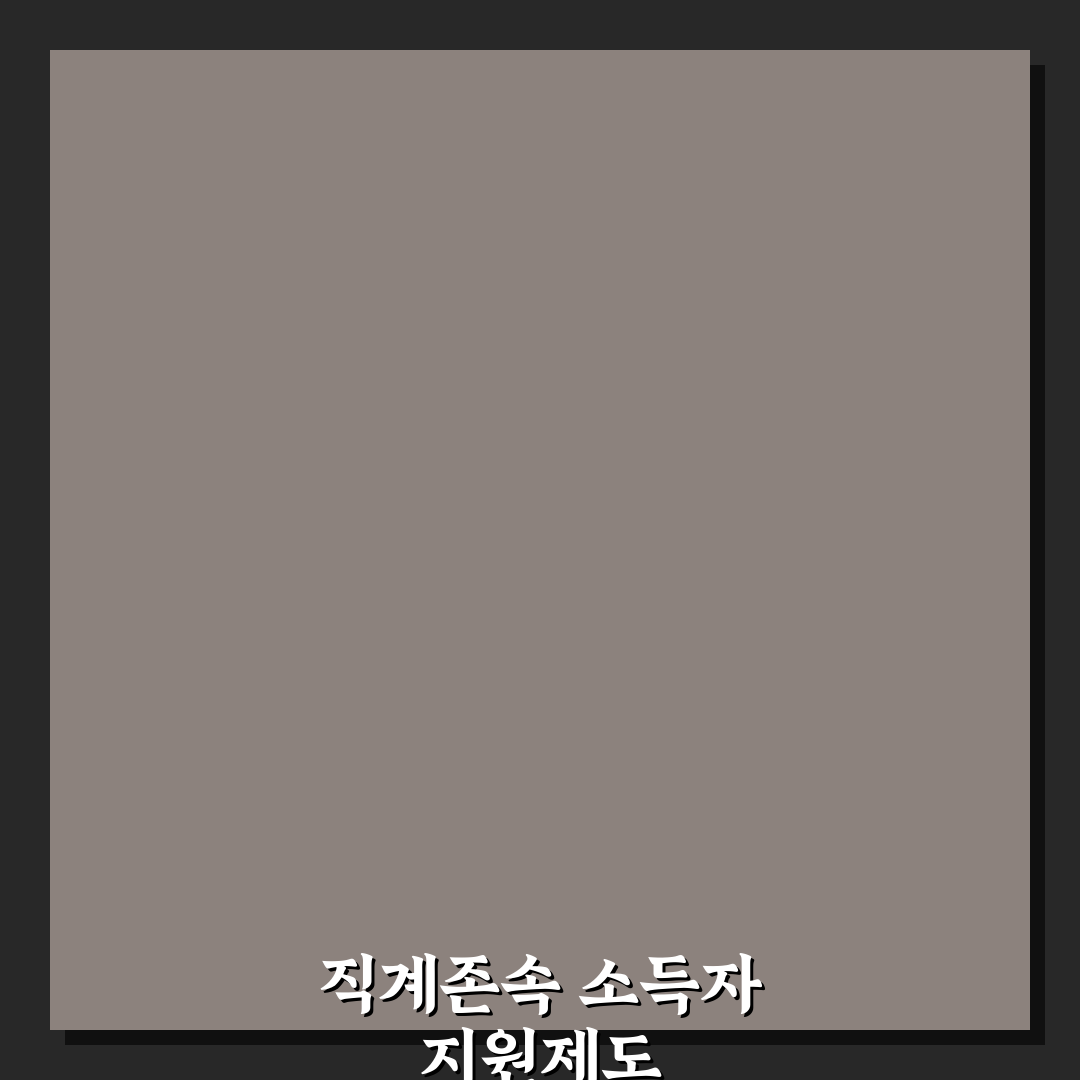 소득자의 직계존속 지원제도 직접 알아보니 꼭 확인할 점