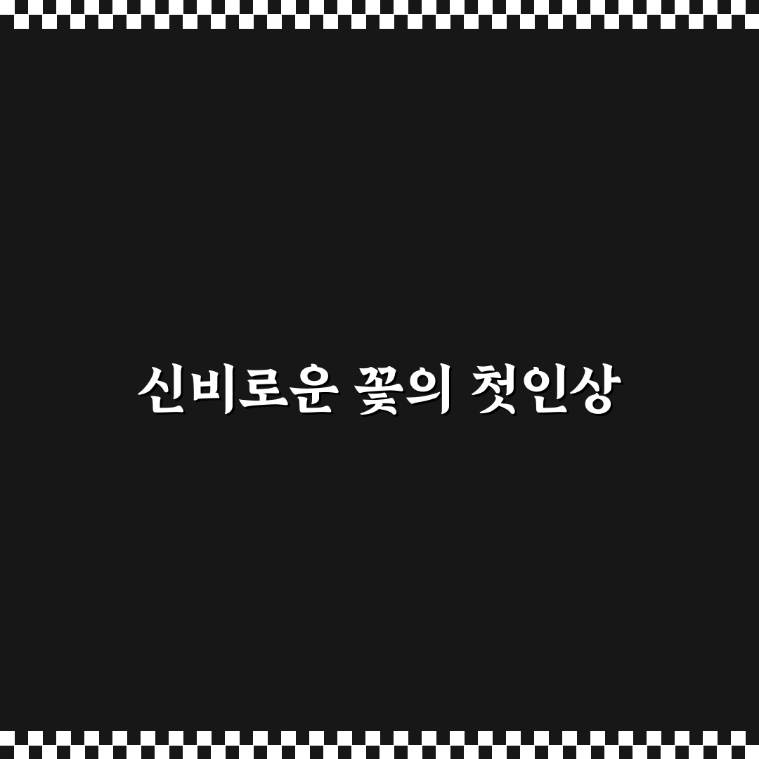 파랑 장미꽃 꽃말 직접 알아보니 뜻이 궁금했어요